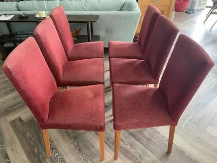 Photo of free Six M&S dining chairs (Sunningdale) #1