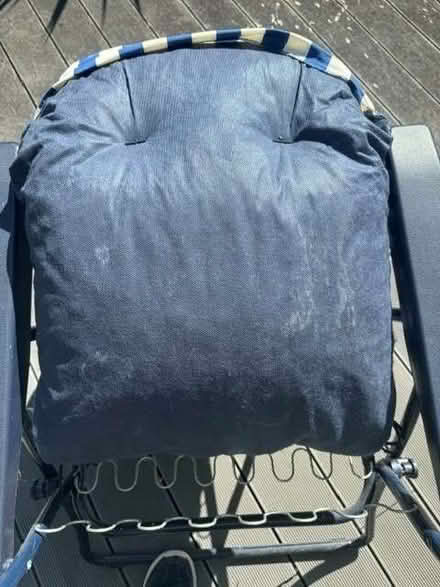 Photo of free Sunlounger and Cushion (Balcombe RH17) #3