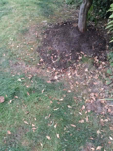 Photo of free Garden soil, Bricks & Rubble. (Poets Estate SG4) #1
