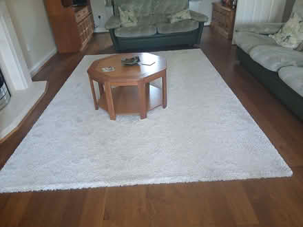 Photo of free Large cream rug (Blossomfield B91) #1