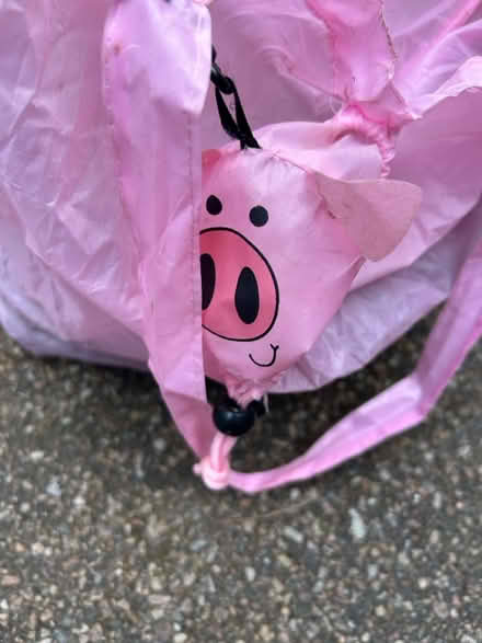 Photo of free Pine Cones(& Bag) (Exmouth EX8) #3