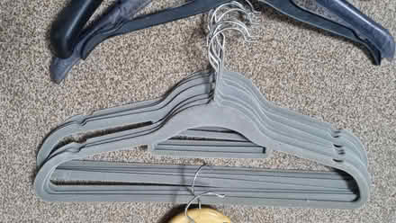 Photo of free Mixed clothes hangers (Jennyfield HG3) #4