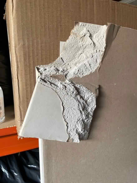 Photo of free Plasterboard (Wadsley S6) #2