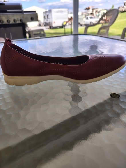 Photo of free transfer bench, women's shoes (North Middleton Twp.) #3