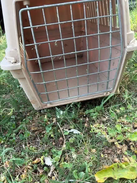 Photo of free Old cat carrier (Peachcroft OX14) #2