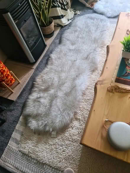 Photo of free Faux sheep skin rug (City of Westminster) #1