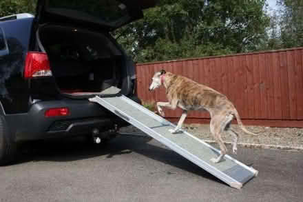 Photo of Dog Ramp (Bewdley DY12) #1