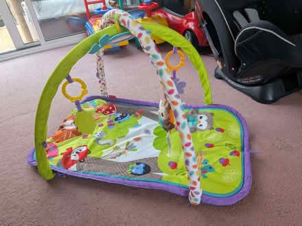 Photo of free Baby gym (Wymondham NR18) #1