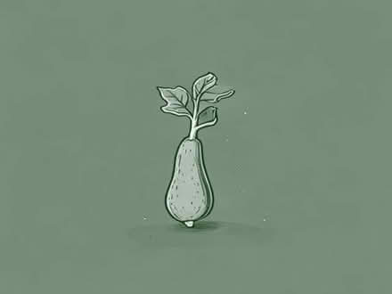 Photo of free Courgette plant (Loughborough LE11) #1