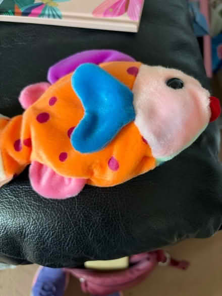 Photo of free TY Fish (Westbury Wilts BA13) #1