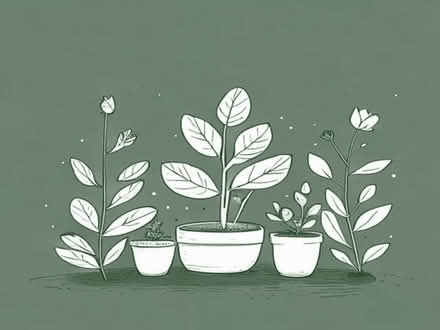Photo of Garden plants and ornaments (Coundon CV5) #1
