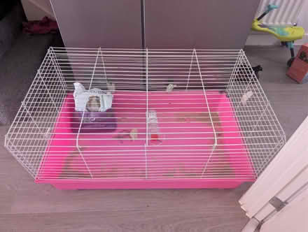 Photo of free Guinea Pig or Rabbit Cage (Goffs Oak EN7) #1
