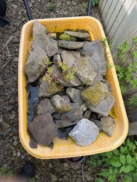 Photo of free Barrow load of stone (Norton LD8) #1