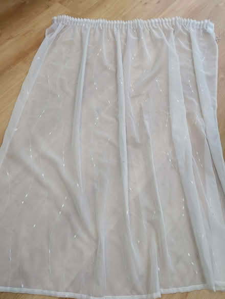 Photo of free Net Curtains (Florence Park OX4) #1