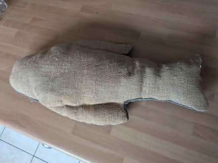 Photo of free Fish toy for cats (Shippon OX13) #2
