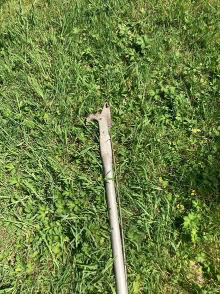 Photo of free 3 meter long branch looper. (Willingdon BN20) #1