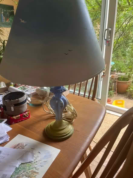 Photo of free Lamp (Lewes) #1