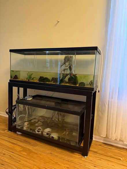 Photo of free Two fish aquariums and a stand (Novi) #2