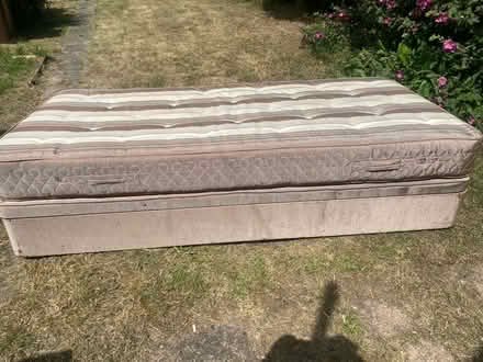 Photo of free Single Bed (Echo Square DA12) #1