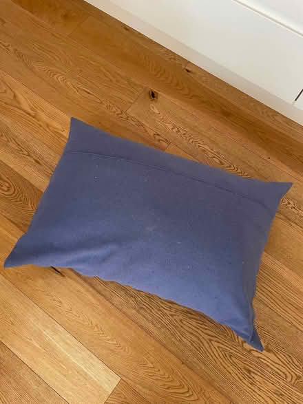 Photo of free Large blue cushion (Craigie PH2) #1