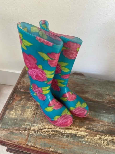 Photo of free Wellies - size UK5 (St Albans AL3) #1