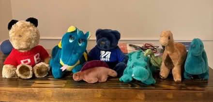 Photo of free Lot of 7 Stuffed Animals (Belmont, MA) #1
