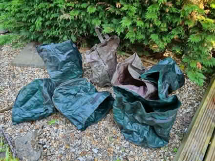 Photo of free Bags for growing tomatoes/potatoes etc (Knighton LD7) #1