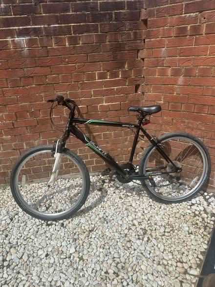 Photo of free Adult Bike (Hellingly) #1