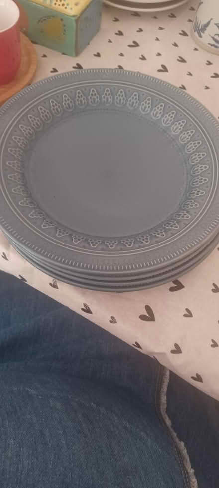 Photo of free Four blue dinner plates (M32) #1