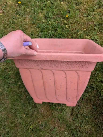 Photo of free 3 x large plastic plant pots (Norfolk Park S2) #3