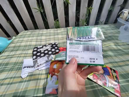 Photo of free Out of date seeds (Weston BA1) #3