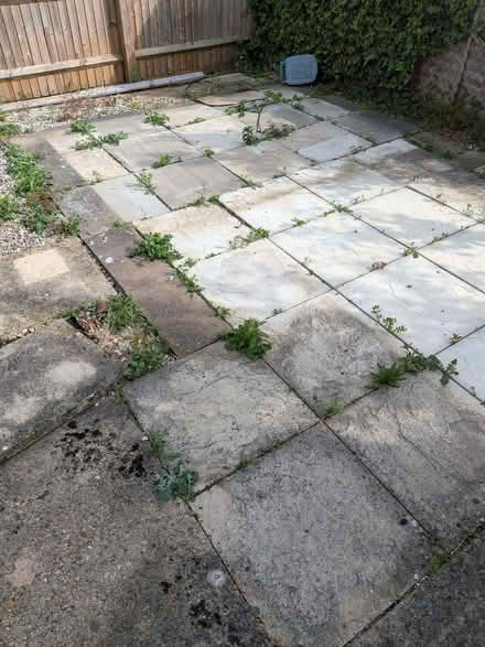 Photo of free 36 Slabs (different types) (Steventon OX13) #1