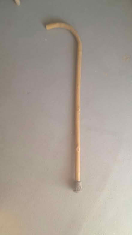Photo of free walking stick (diss) #1