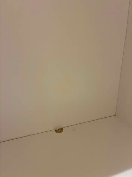 Photo of free IKEA Billy bookcase (Battersea SW11) #3