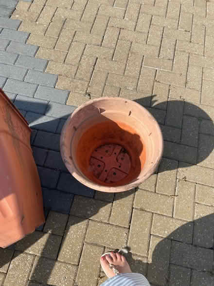Photo of free IKEA chairs & footstool and some planters (Merton Park SW20) #3