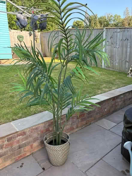 Photo of free Artificial plant with pot (North Tonbridge TN10) #1