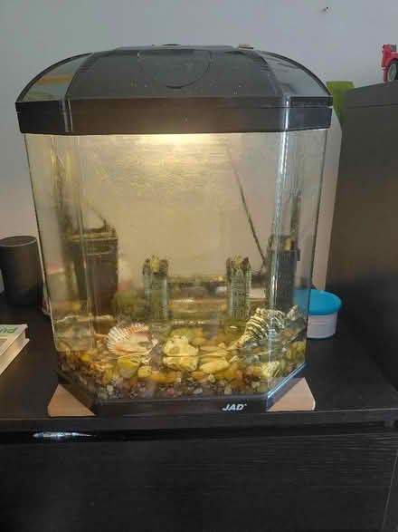 Photo of free Fish tank 38l and gravel (West Croydon CR0) #1