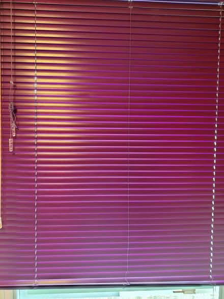 Photo of free Venetian Blind (Florence Park OX4) #1