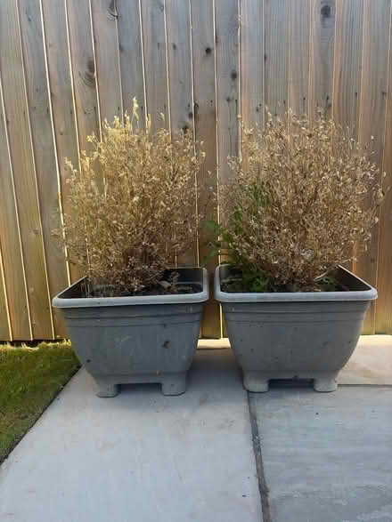 Photo of free One grey plastic planter (Middlewich CW10) #1