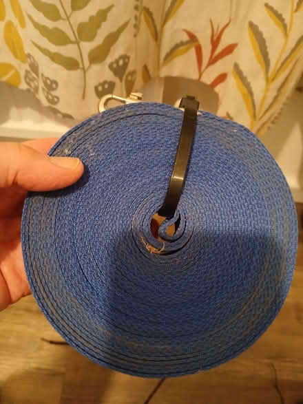 Photo of free Dog training lead (Faringdon SN7) #1