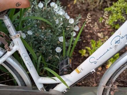 Photo of free Claude Butler Summer Bay Ladies bike (Lower Weston BA1) #2