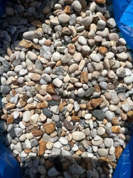 Photo of free Sands for Fish tanks (Summertown OX2) #1
