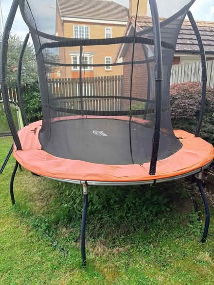 Photo of free 9 x 13ft oval trampoline (Droylsden M34) #1