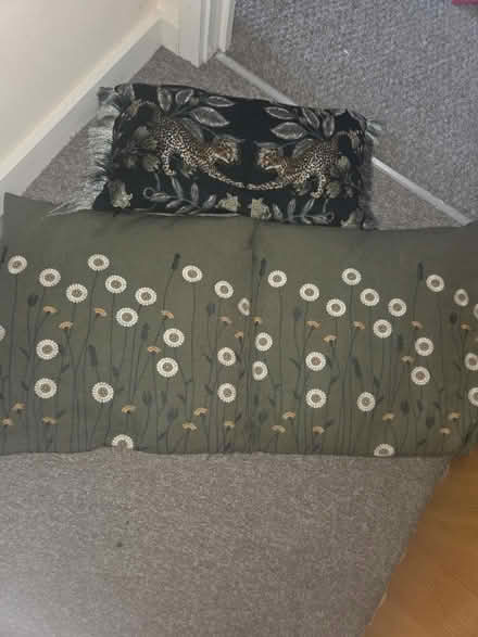Photo of free cushions with covers (Great Leighs CM3) #2