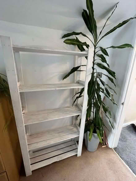 Photo of free Bookcase (Nether Green S10) #1