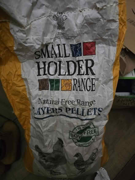 Photo of free layers complete Chicken feed (St. John's Wood NW8) #1