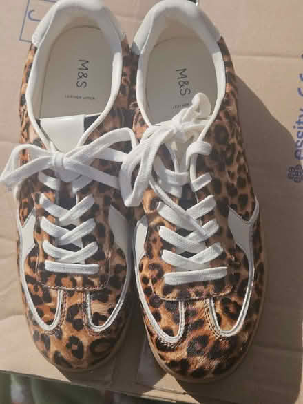 Photo of free Trainers (Hunston PO20) #1