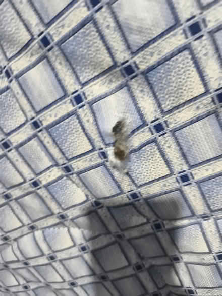 Photo of free Mattress (Bootle) #2