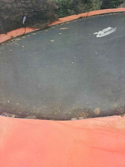 Photo of free 9 x 13ft oval trampoline (Droylsden M34) #2