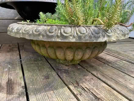 Photo of free Round planter (High Storrs, S11) #3